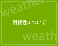 耐候性について